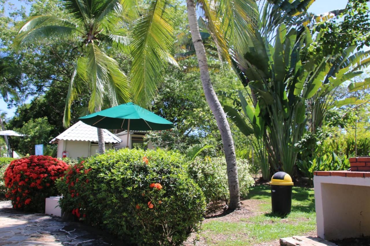 Tropical Bliss Pool Wi-Fi Bbq Near Quepos Manuel Antonio Apartment Luaran gambar