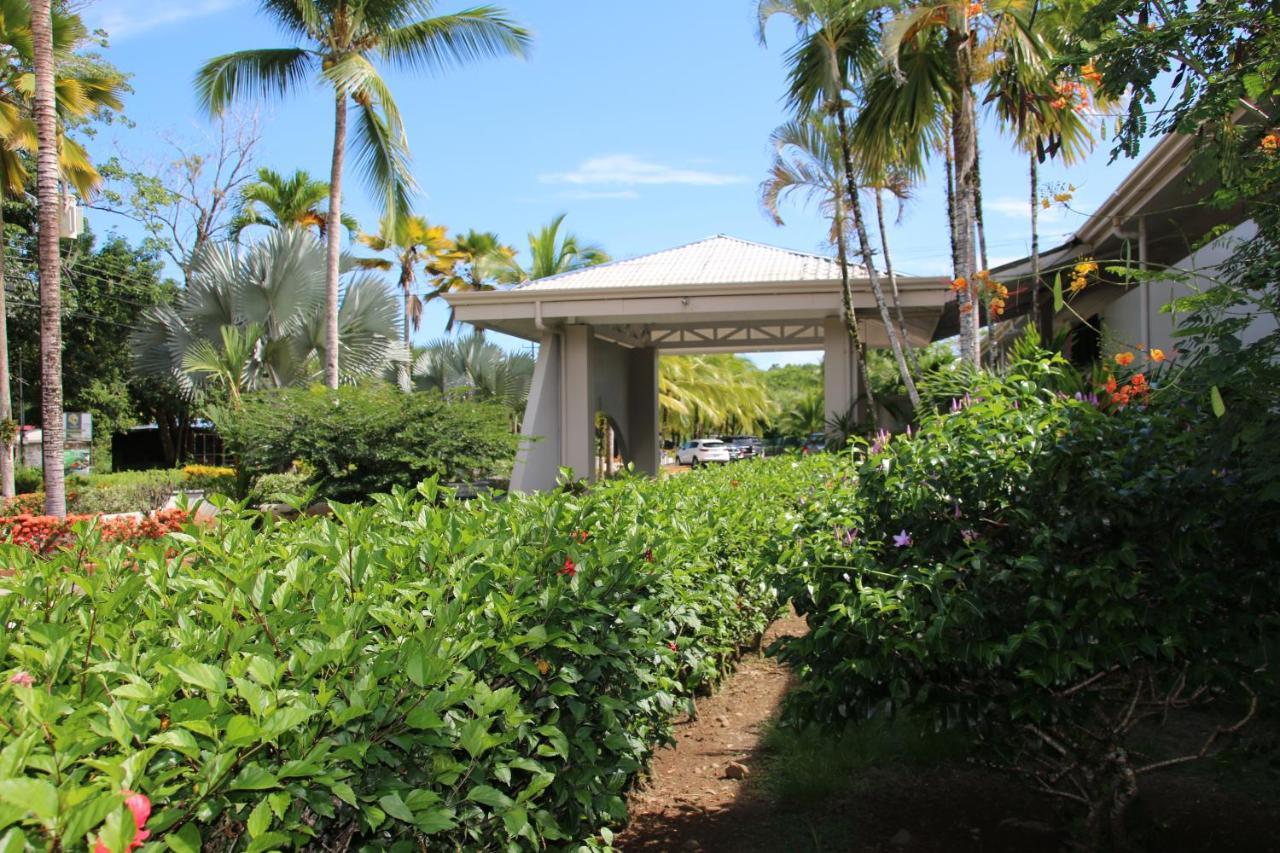 Tropical Bliss Pool Wi-Fi Bbq Near Quepos Manuel Antonio Apartment Luaran gambar