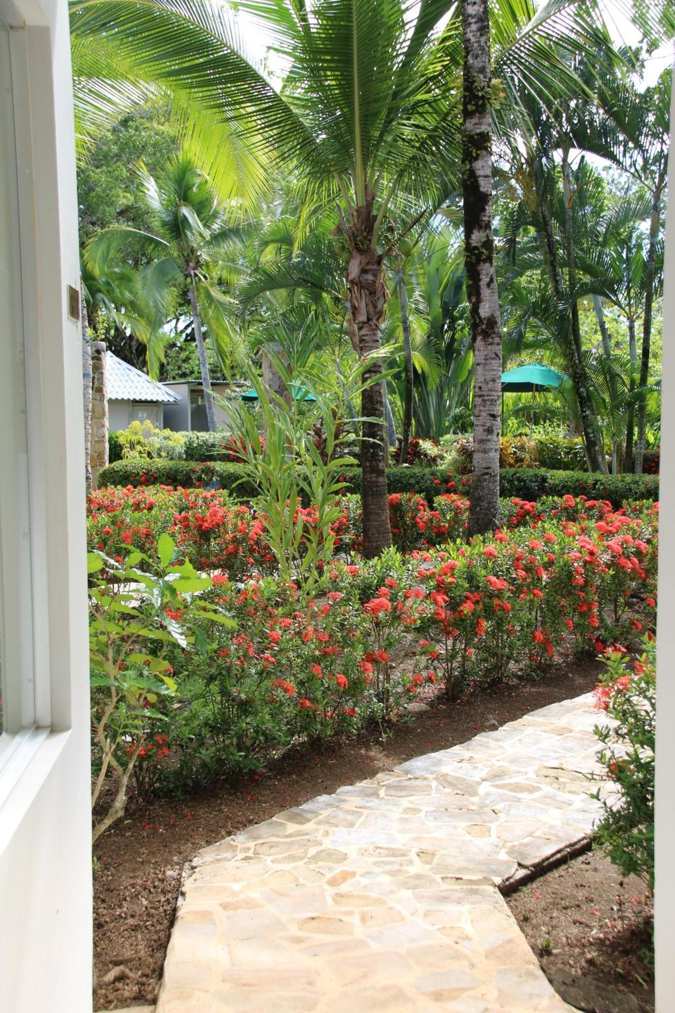 Tropical Bliss Pool Wi-Fi Bbq Near Quepos Manuel Antonio Apartment Luaran gambar